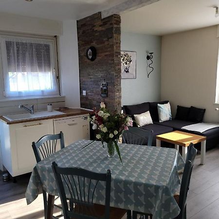 Appartement Au Cigogneau Wifi-Netflix-Balcon-Parking Munster  Exterior foto