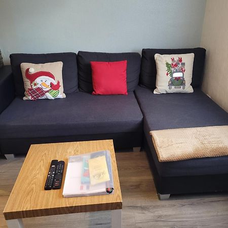 Appartement Au Cigogneau Wifi-Netflix-Balcon-Parking Munster  Exterior foto