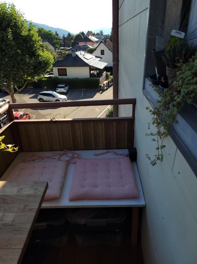 Appartement Au Cigogneau Wifi-Netflix-Balcon-Parking Munster  Exterior foto