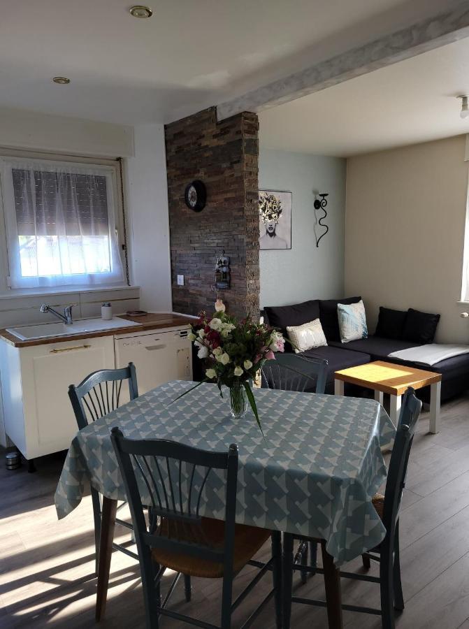 Appartement Au Cigogneau Wifi-Netflix-Balcon-Parking Munster  Exterior foto