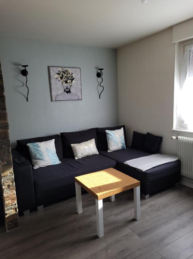 Appartement Au Cigogneau Wifi-Netflix-Balcon-Parking Munster  Exterior foto