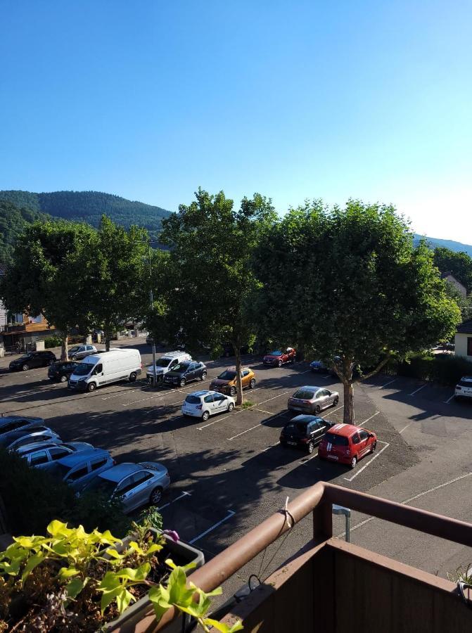 Appartement Au Cigogneau Wifi-Netflix-Balcon-Parking Munster  Exterior foto